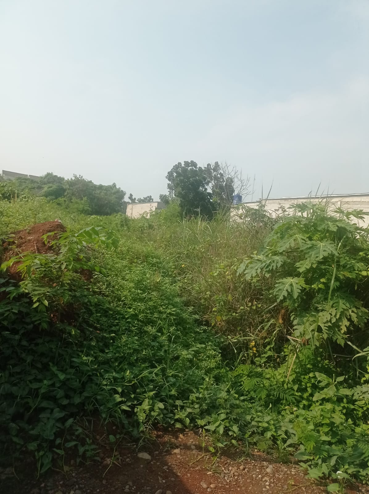 Di Sewakan Tanah di Cikarang Utara Bekasi
